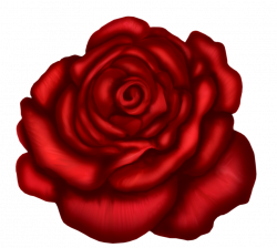Red Rose Art Picture | Gallery Yopriceville - High-Quality Images ...
