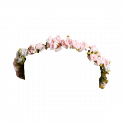 Flower Crown Transparent PNG Pictures - Free Icons and PNG Backgrounds