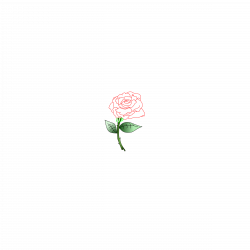 Clipart - Single Rose