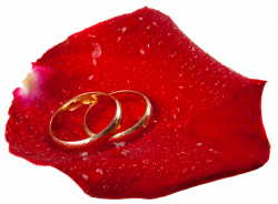 Wedding Rings in Rose Petal PNG Clip Art - Best WEB Clipart