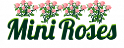 Miniature Roses – Come in and enjoy my beautiful garden of miniature ...