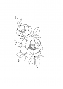 clipart Minimalist Aesthetic Rose Drawing rose minimalist ...