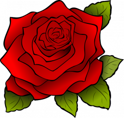 Imagen gratis en Pixabay - Flor, Rojo, Rose, Naturaleza | Pinterest ...