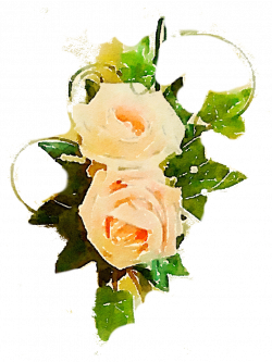 FREE-flower-rose-png-peach-vine-use-freely by anjelakbm on DeviantArt