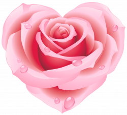 Large Pink Rose Heart Clipart | Flowers | Pinterest | Pink roses ...