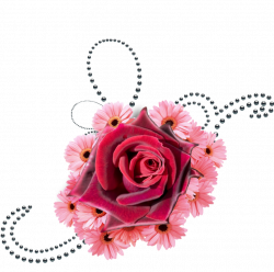 flowers and black pearls png by Melissa-tm on DeviantArt