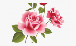 Pink Roses Clipart - Clipart Pink Rose Png #1595912 - Free ...