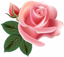 Pink Rose Clip Art PNG Image | Gallery Yopriceville - High-Quality ...
