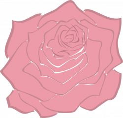 Pink Pale Rose Clip Art at Clker.com - vector clip art online ...