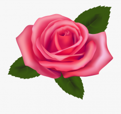 Beautiful Pink Rose Png Clipart - Pink Rose Clipart Png #193 ...