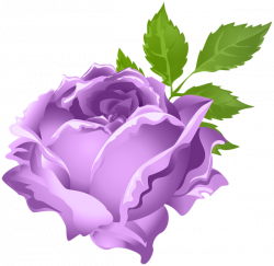 Purple Rose PNG Clip Art Image | Gallery Yopriceville - High ...