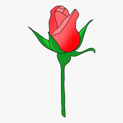 Banner Download Rose Clipart Images - Rose Bud Clipart #2550 ...