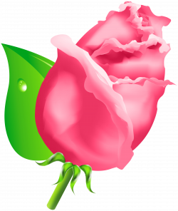 Rose Bud PNG Clipart - Best WEB Clipart