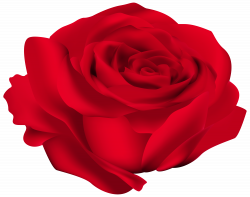 Red Rose Flower PNG Image | Gallery Yopriceville - High-Quality ...