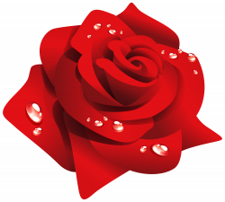Red Rose with Dew PNG Clipart - Best WEB Clipart
