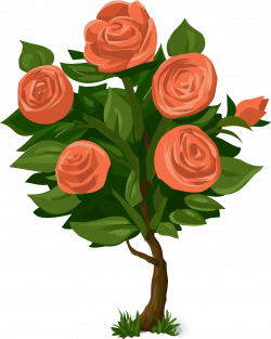 Rose Shrub Flower Clip art - Green leaf pink rose 1531*1920 ...