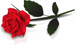 Lovely Transparent Red Rose Clipart | Gallery Yopriceville - High ...