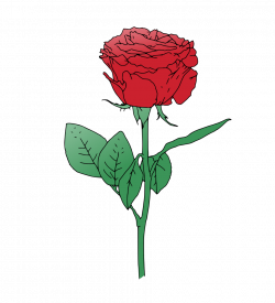 Single Red Rose Vector - Rooweb Clipart