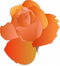 Orange Rose Clip Art at Clker.com - vector clip art online, royalty ...