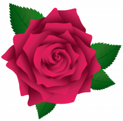 Pink Rose PNG Image Clipart | Gallery Yopriceville - High-Quality ...