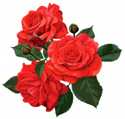 Flower bouquet Rose Clip art - Red roses with thorns 800*763 ...