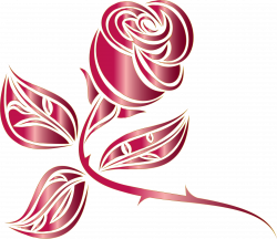 Rose Thorns, spines, and prickles Clip art - baground 2342*2028 ...