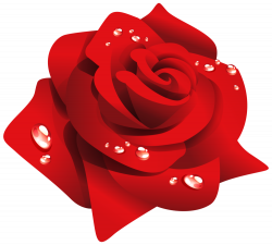 Red Roses Clipart (40+) Red Roses Clipart Backgrounds