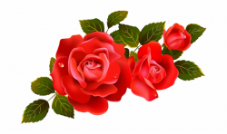Red Rose Clipart Rosebud - Rose Flower Transparent ...