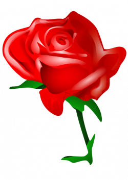 clipartist.net » Clip Art » valentine flower rose SVG