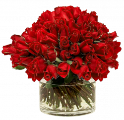 Transparent Red Roses in Vase | Gallery Yopriceville - High-Quality ...