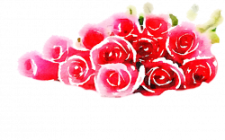 FREE-roses-pile-png-watercolor-FREETOUSE-usefreely by anjelakbm on ...