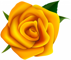 Yellow Rose Clipart PNG Image | Gallery Yopriceville - High-Quality ...