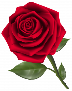 Beautiful Red Rose PNG Clipart - Best WEB Clipart