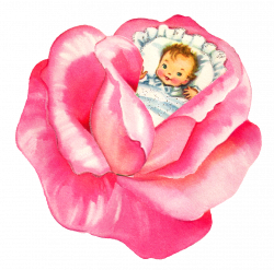 Antique Images: Baby Girl Pink Rose Clip Art Flower Digital Download
