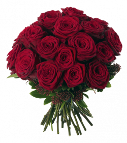 Transparent Red Roses Bouquet PNG Clipart Picture | pretties flowers ...