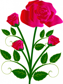 Single Pink Rose Clip Art | Clipart Panda - Free Clipart Images