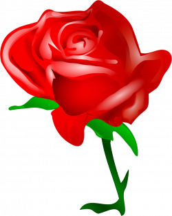 Red Rose by @tomas_arad, A red rose bigger., on @openclipart | Clip ...