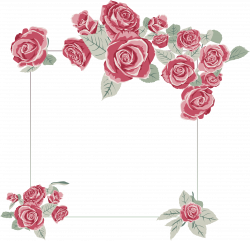 Rose PNG Images – A Flower That Speaks | PNG Only