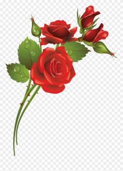 Garden Roses Flower Clip Art - Rose Frame - Png Download ...