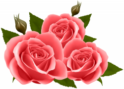 Red Roses PNG Clip Art Image | Gallery Yopriceville - High-Quality ...