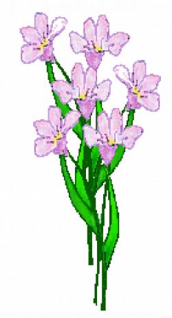 28+ Collection of Lavender Clipart Transparent | High quality, free ...
