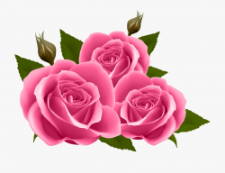 Pink Roses Clipart - Pink Rose Png Transparent, Cliparts ...