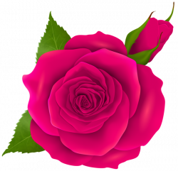 Rose Bud Clipart at GetDrawings.com | Free for personal use Rose Bud ...