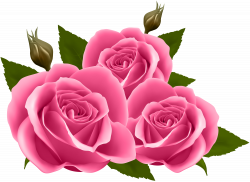 Pink Roses PNG Clip Art Image | Gallery Yopriceville - High-Quality ...