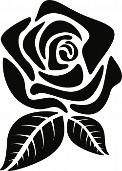 Flower Silhouette Rose Clip art - flower 1690*2366 transprent Png ...