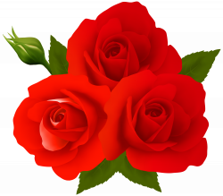 Roses PNG Clip Art | Gallery Yopriceville - High-Quality Images and ...