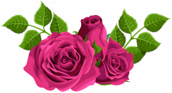 Pink Roses Decorative PNG Clip Art Image | Gallery Yopriceville ...