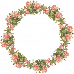 Related image | transparent floral images | Pinterest