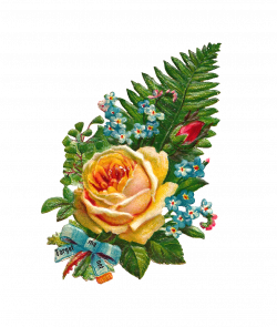 Antique Images: Free Digital Flower Clip Art: Yellow Rose and Forget ...