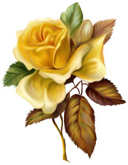 Yellow Rose Painted Picture Clipart | Gallery Yopriceville - High ...